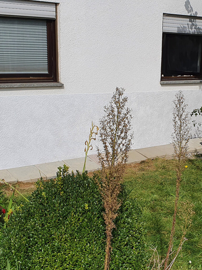 kewabo® gmbh niederlassung lindau referenzen
